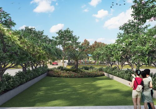 garden